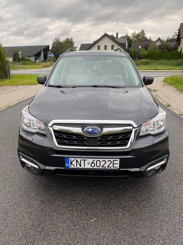Zdjęcie: 2016 Subaru Forester