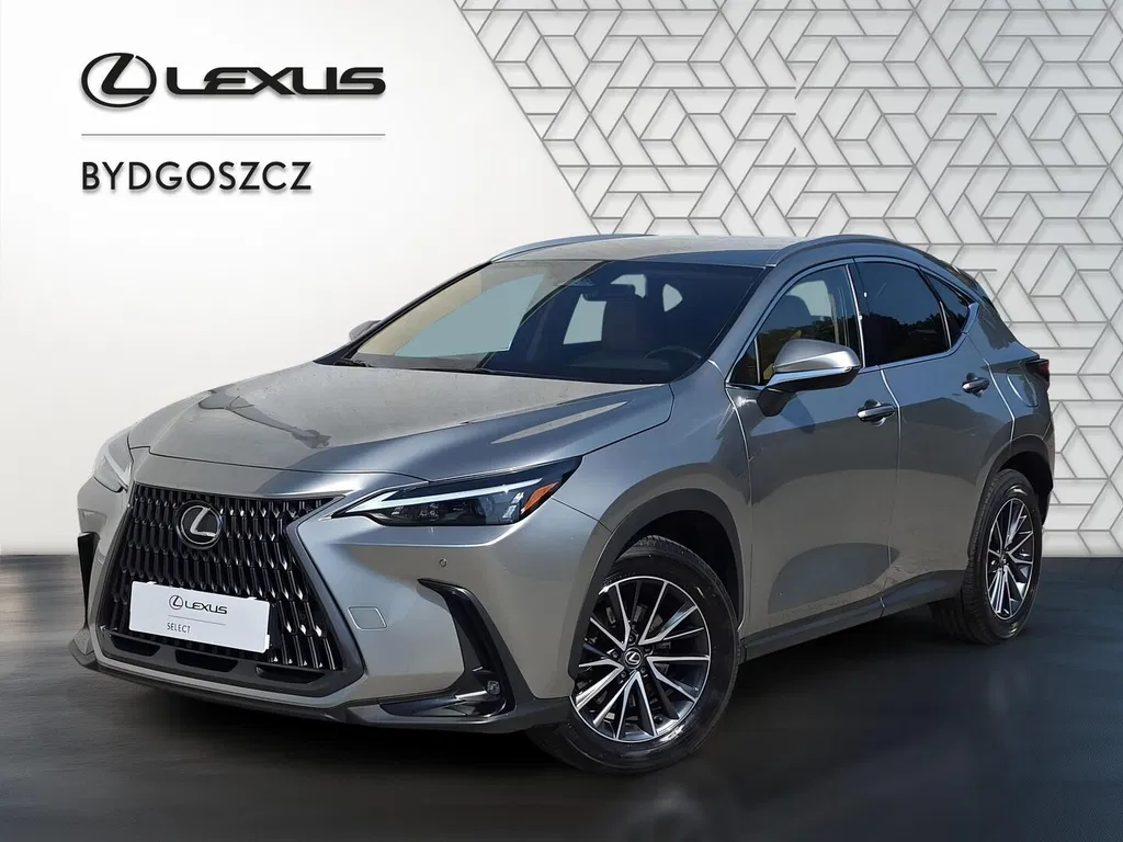 Zdjęcie: 2024 Lexus NX