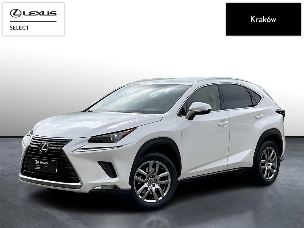 Zdjęcie: 2019 Lexus NX