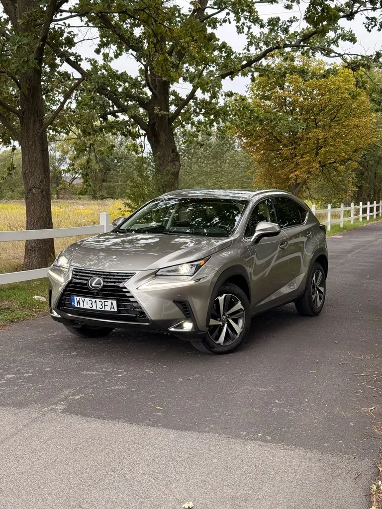 Zdjęcie: 2019 Lexus NX