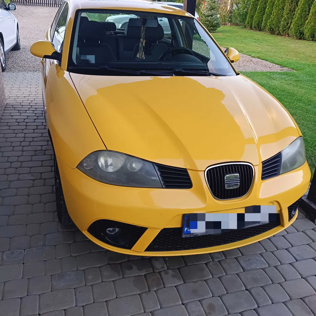 Zdjęcie: 2008 Seat Ibiza