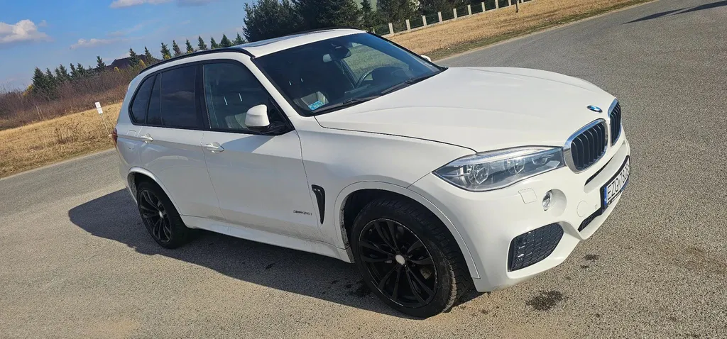 Zdjęcie: 2018 BMW X5