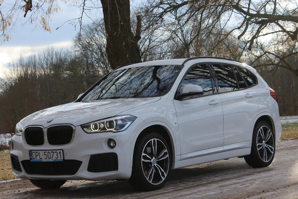Zdjęcie: 2017 BMW X1