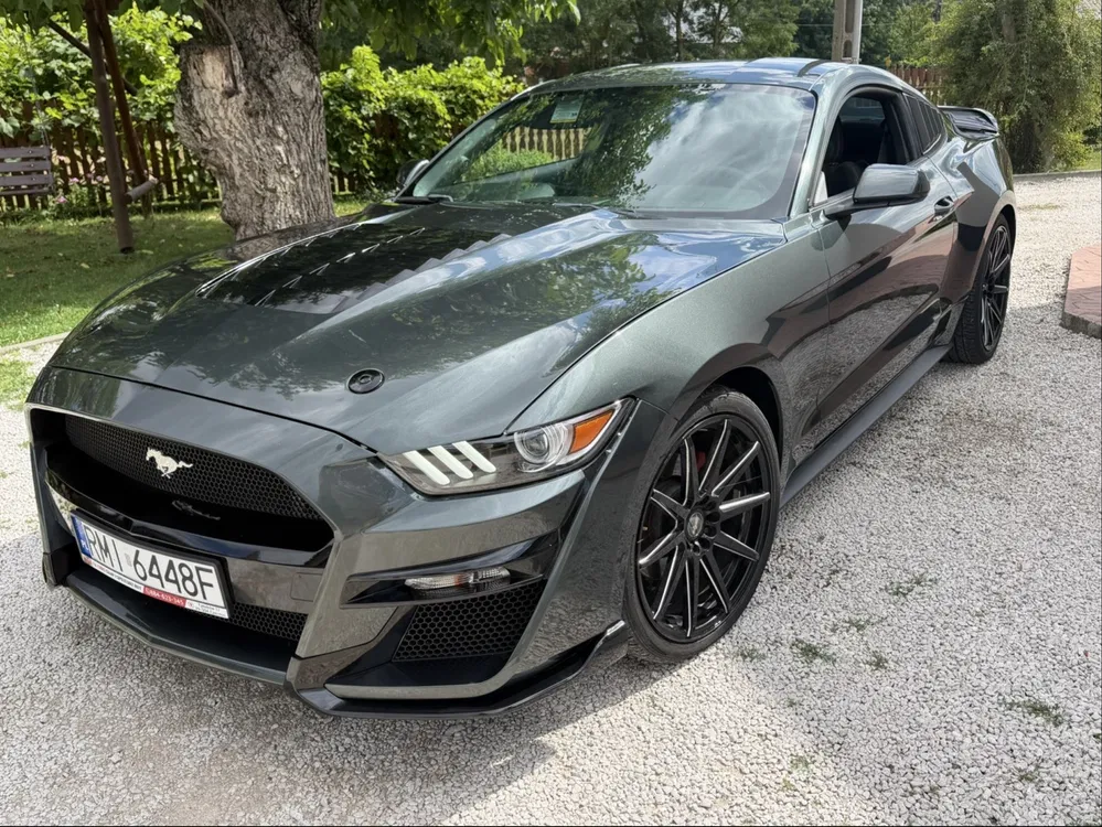 Zdjęcie: 2016 Ford Mustang