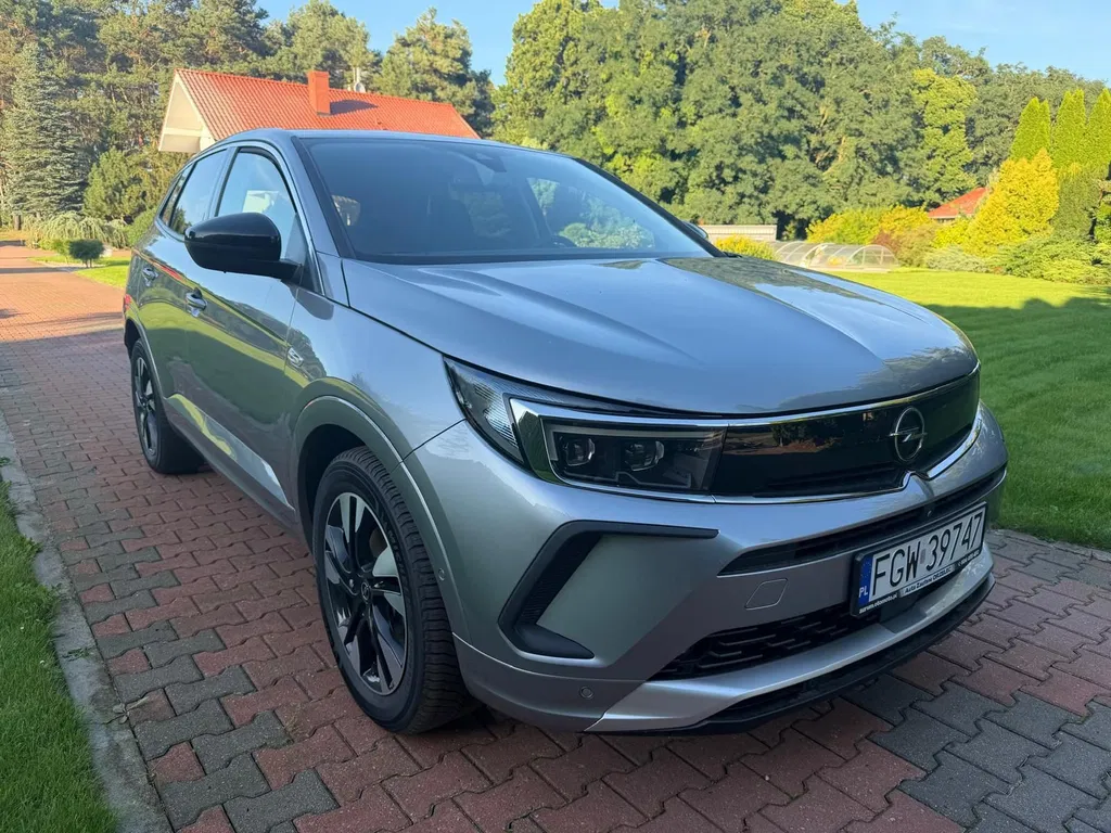 Zdjęcie: 2022 Opel Grandland X