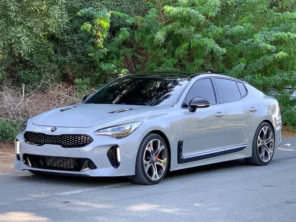 Zdjęcie: 2019 Kia Stinger