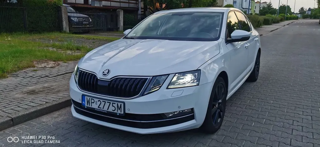 Zdjęcie: 2019 Skoda Octavia