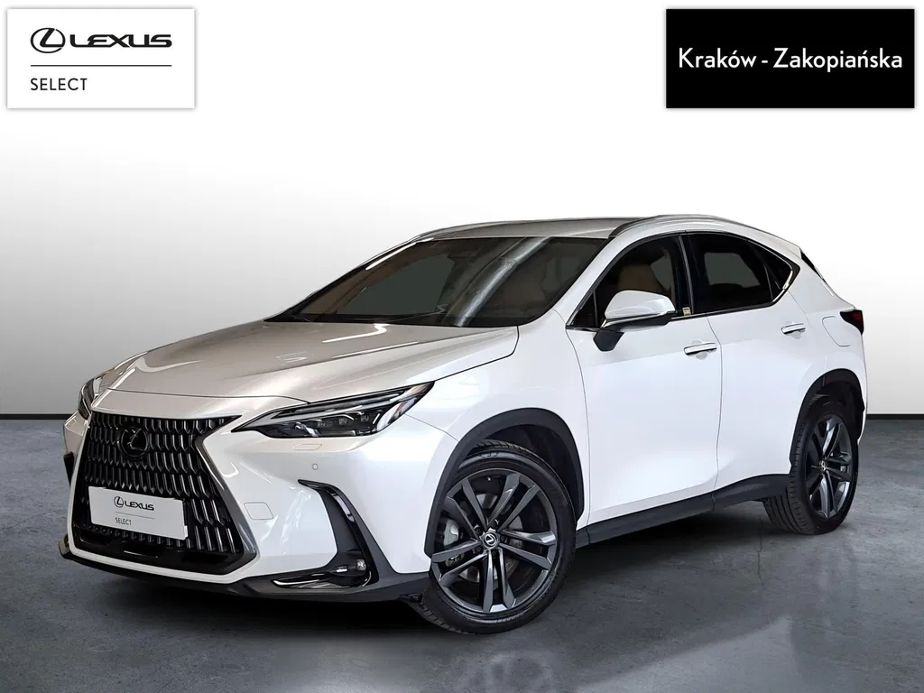 Zdjęcie: 2025 Lexus NX