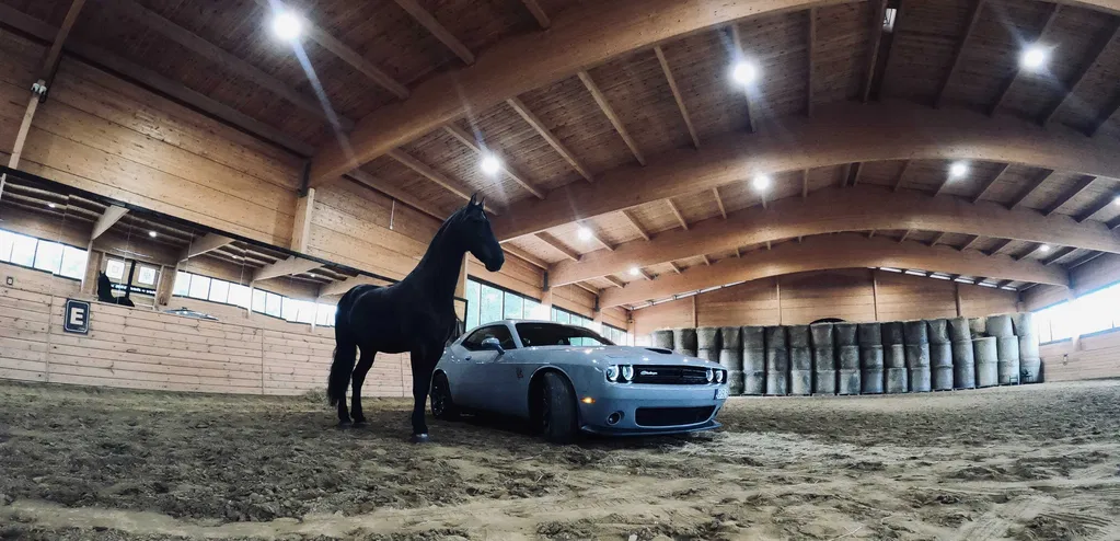 Zdjęcie: 2020 Dodge Challenger