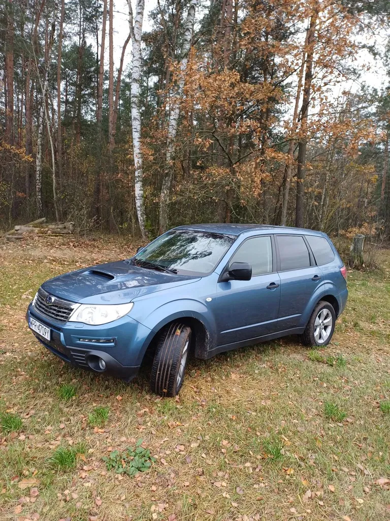 Zdjęcie: 2010 Subaru Forester