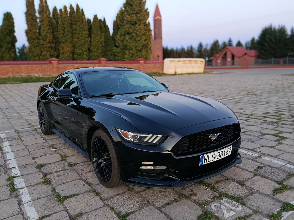Zdjęcie: 2017 Ford Mustang