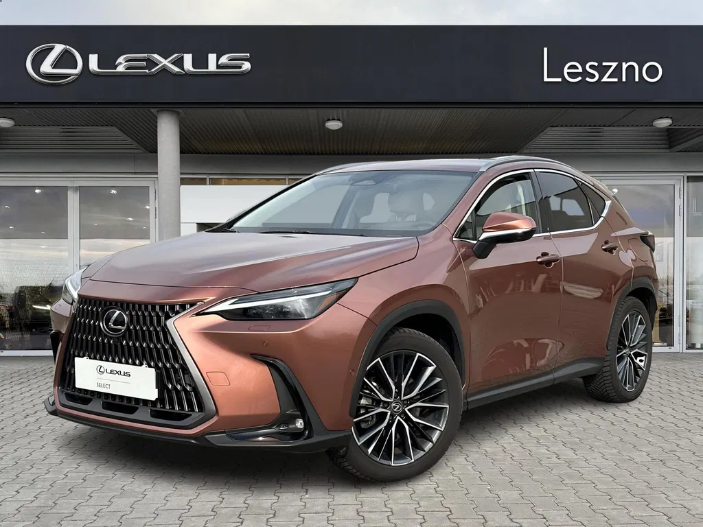 Zdjęcie: 2024 Lexus NX