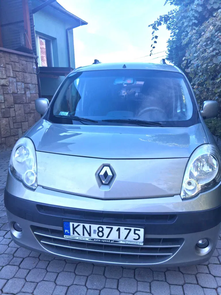 Zdjęcie: 2010 Renault Kangoo