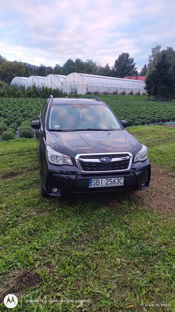 Zdjęcie: 2017 Subaru Forester