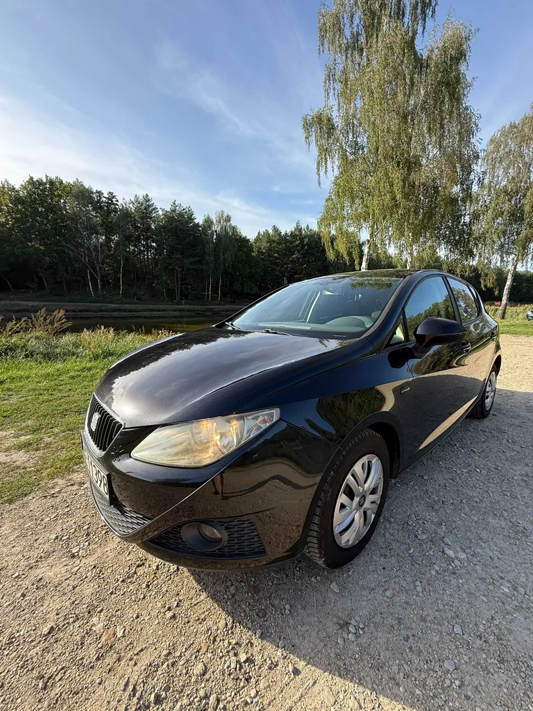 Zdjęcie: 2010 Seat Ibiza