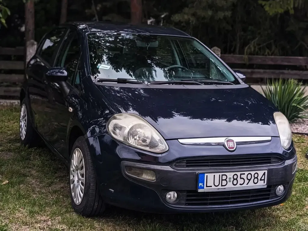 Zdjęcie: 2010 Fiat Punto Evo
