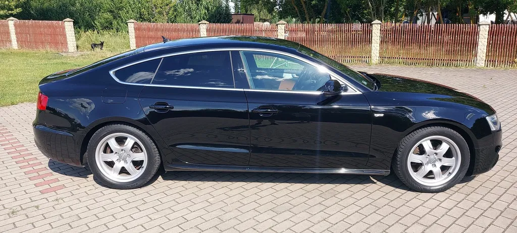Zdjęcie: 2014 Audi A5 Coupé