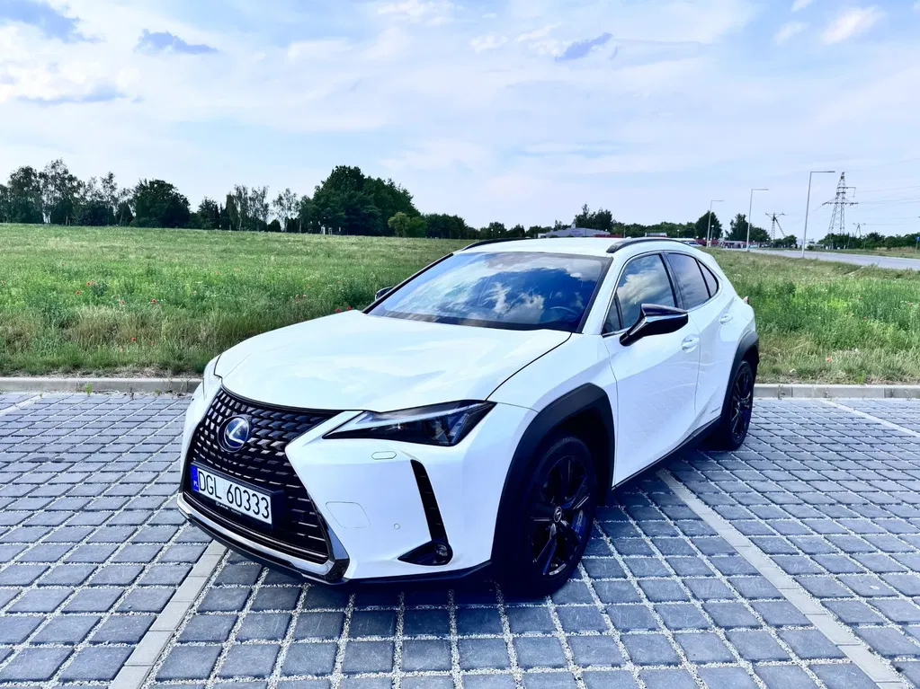Zdjęcie: 2021 Lexus UX