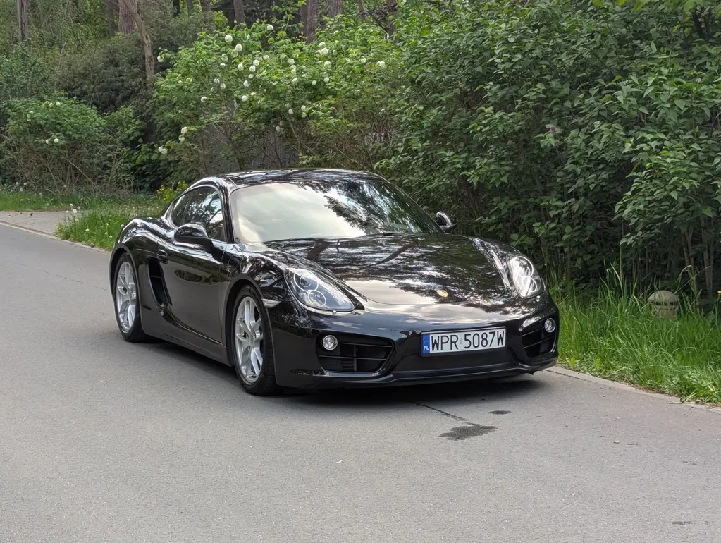 Zdjęcie: 2014 Porsche Cayman