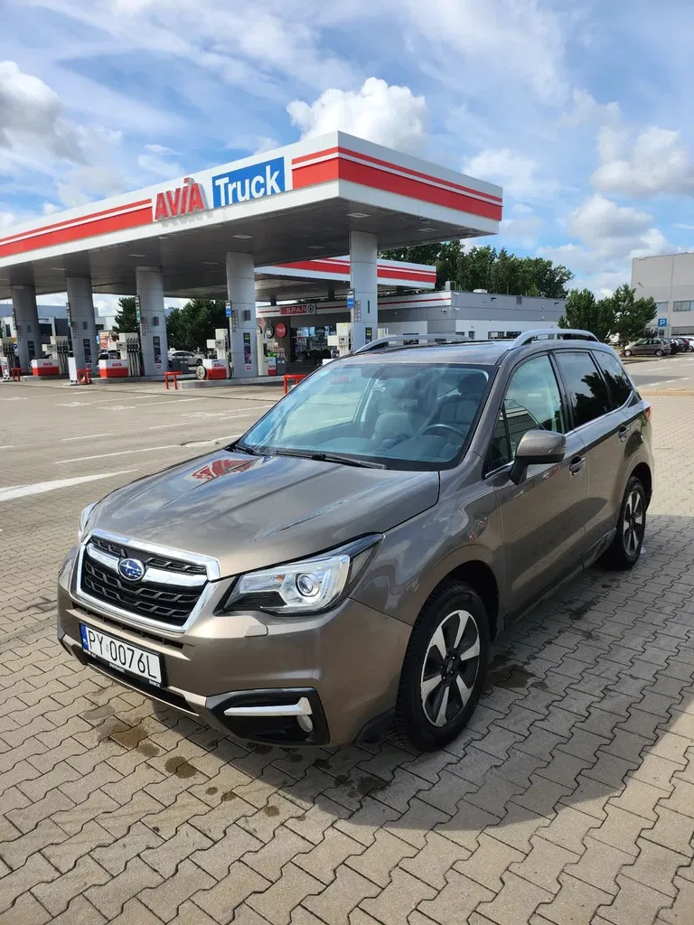 Zdjęcie: 2016 Subaru Forester