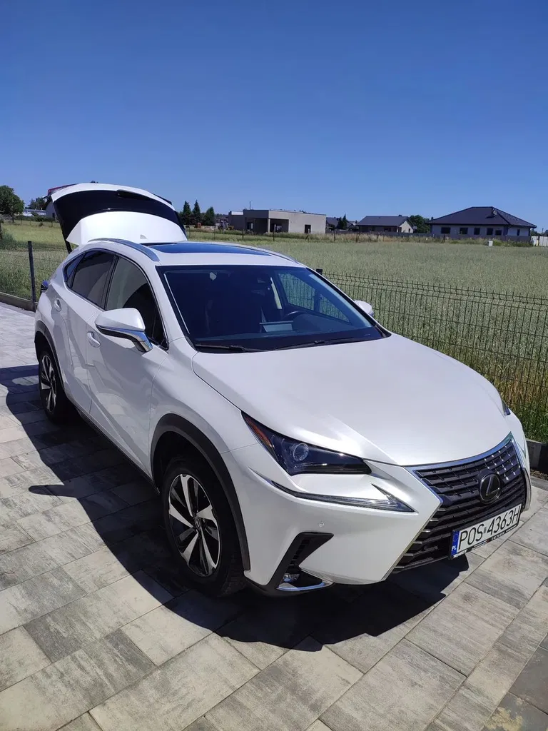 Zdjęcie: 2020 Lexus NX