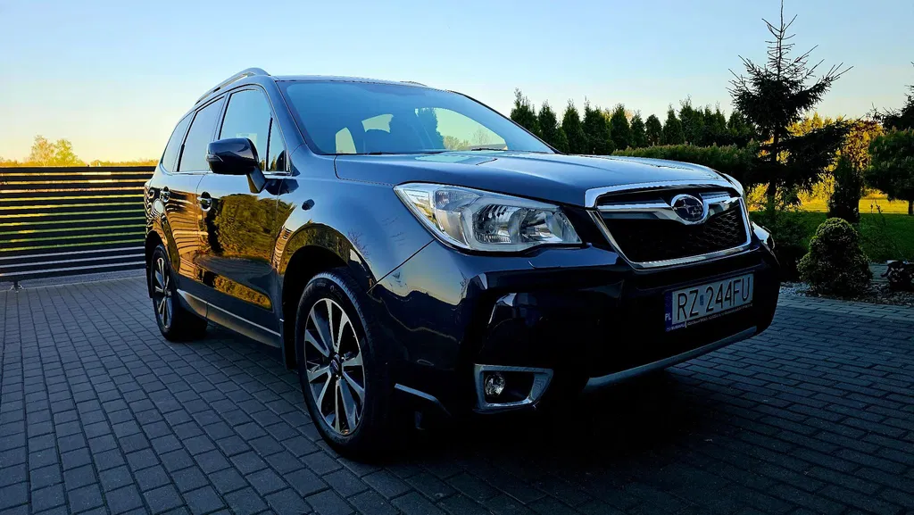 Zdjęcie: 2014 Subaru Forester
