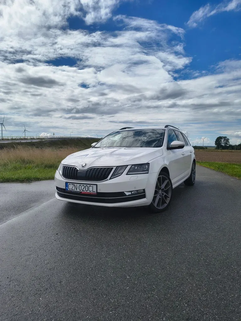 Zdjęcie: 2019 Skoda Octavia
