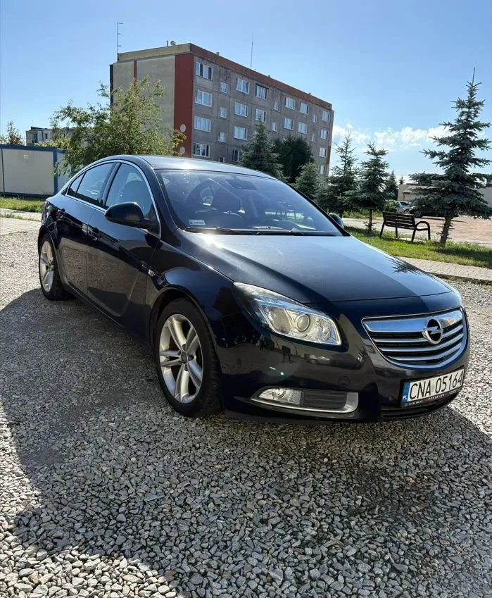 Zdjęcie: 2010 Opel Insignia