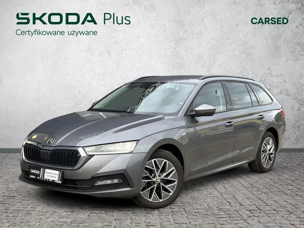 Zdjęcie: 2023 Skoda Octavia