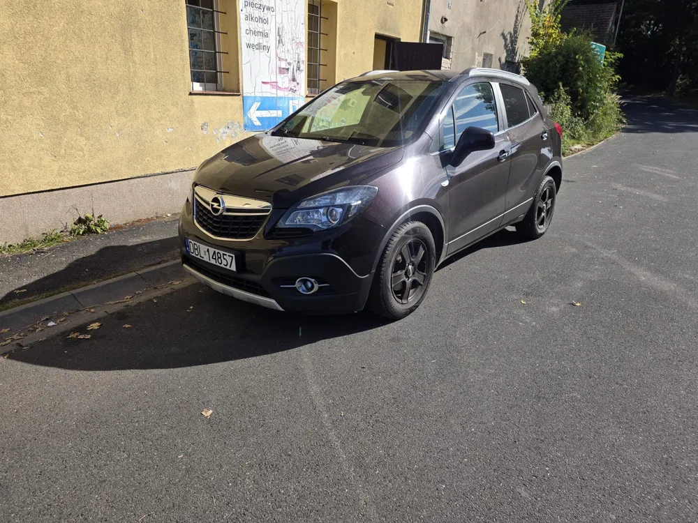 Zdjęcie: 2013 Opel Mokka