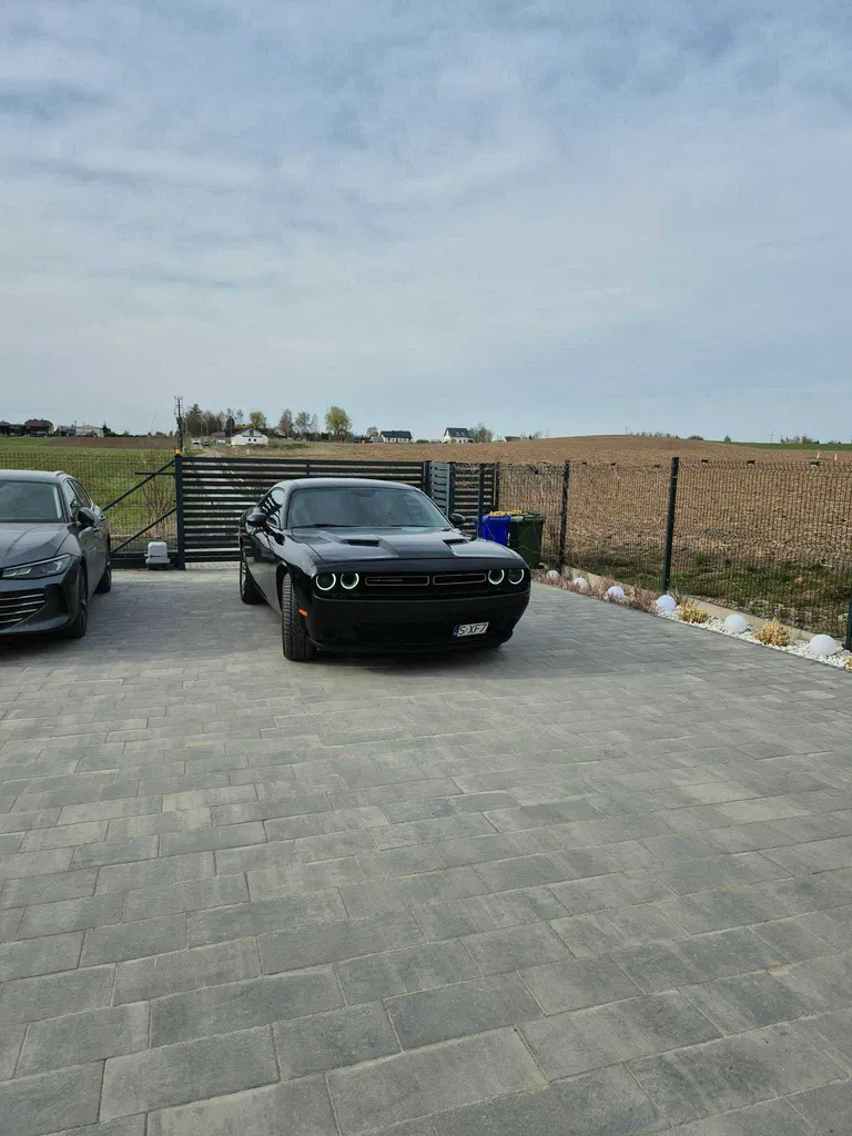 Zdjęcie: 2016 Dodge Challenger