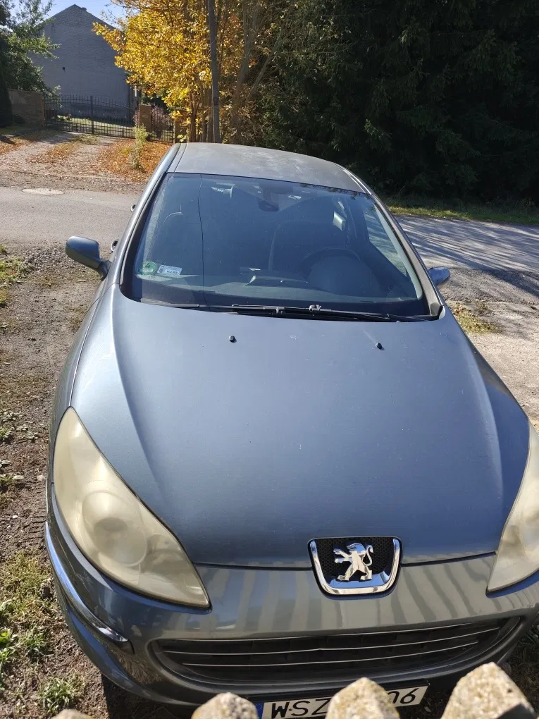 Zdjęcie: 2008 Peugeot 407