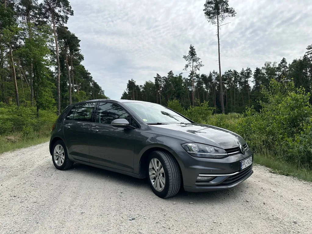 Zdjęcie: 2019 Volkswagen Golf