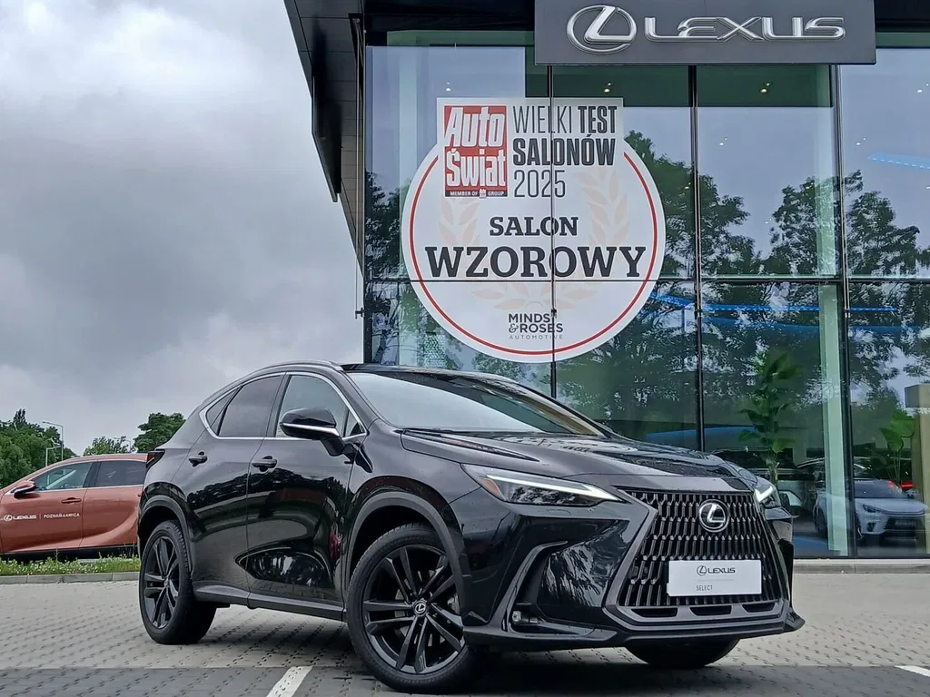 Zdjęcie: 2024 Lexus NX