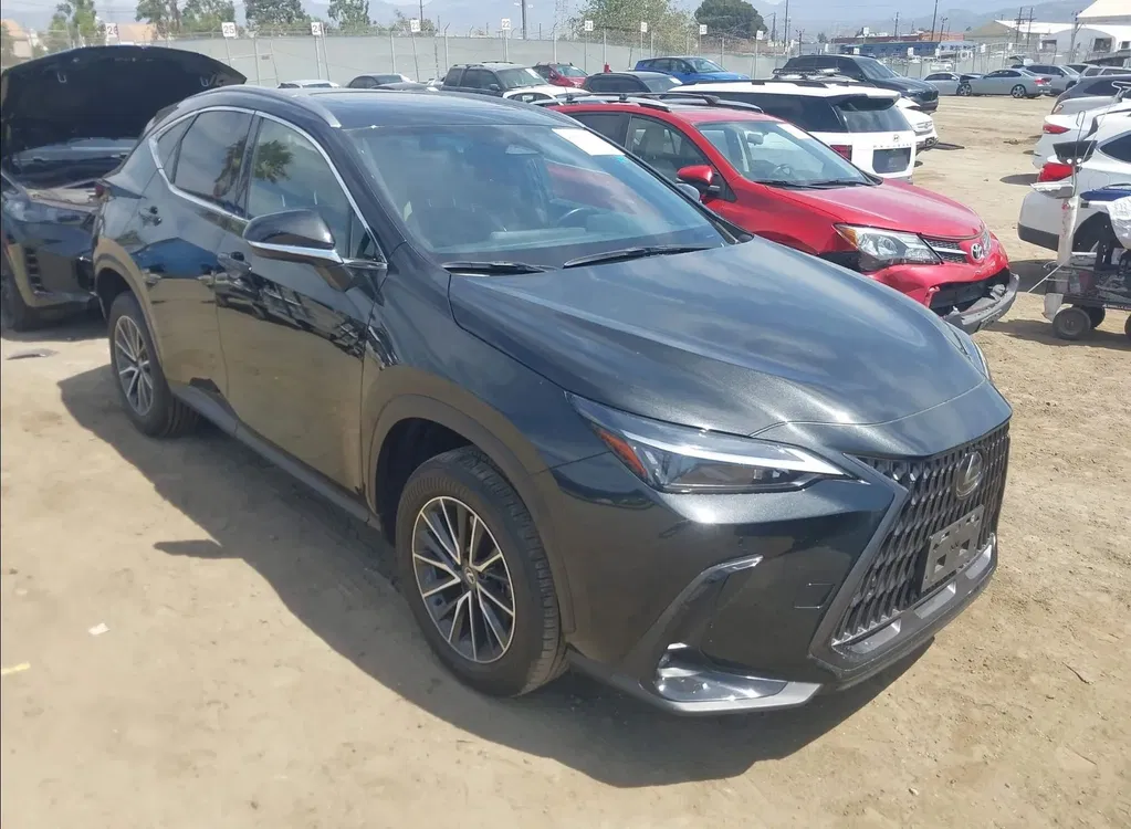 Zdjęcie: 2024 Lexus NX