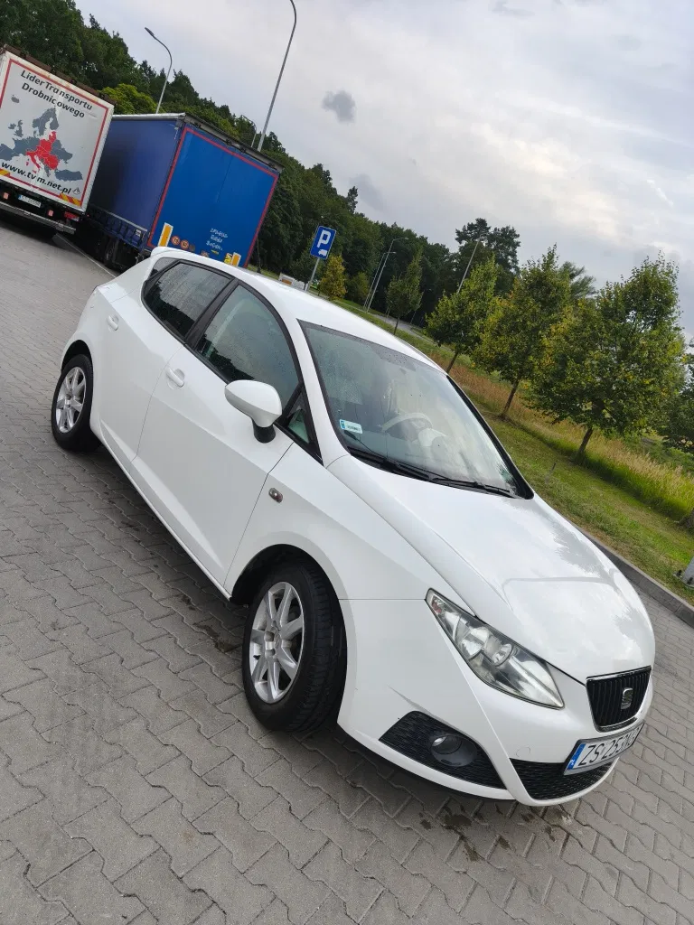 Zdjęcie: 2009 Seat Ibiza