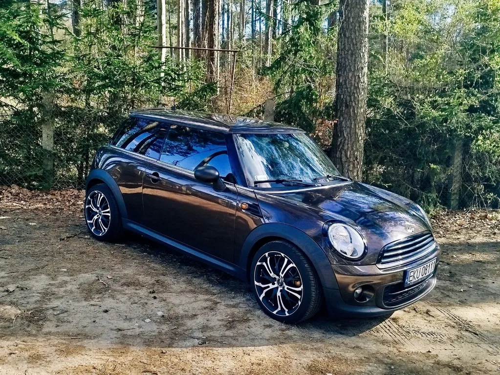 Zdjęcie: 2010 Mini One