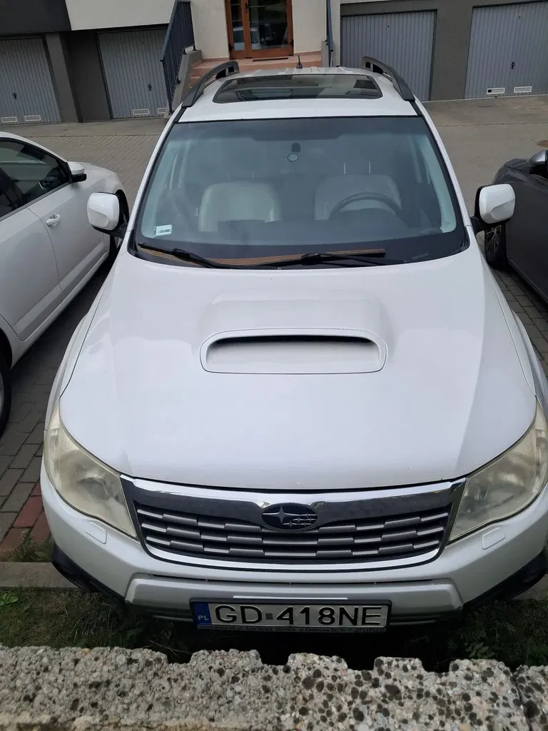 Zdjęcie: 2010 Subaru Forester