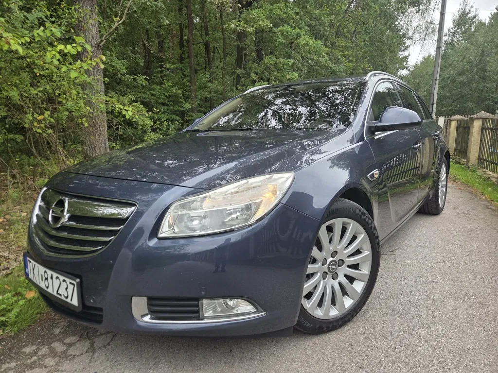 Zdjęcie: 2010 Opel Insignia