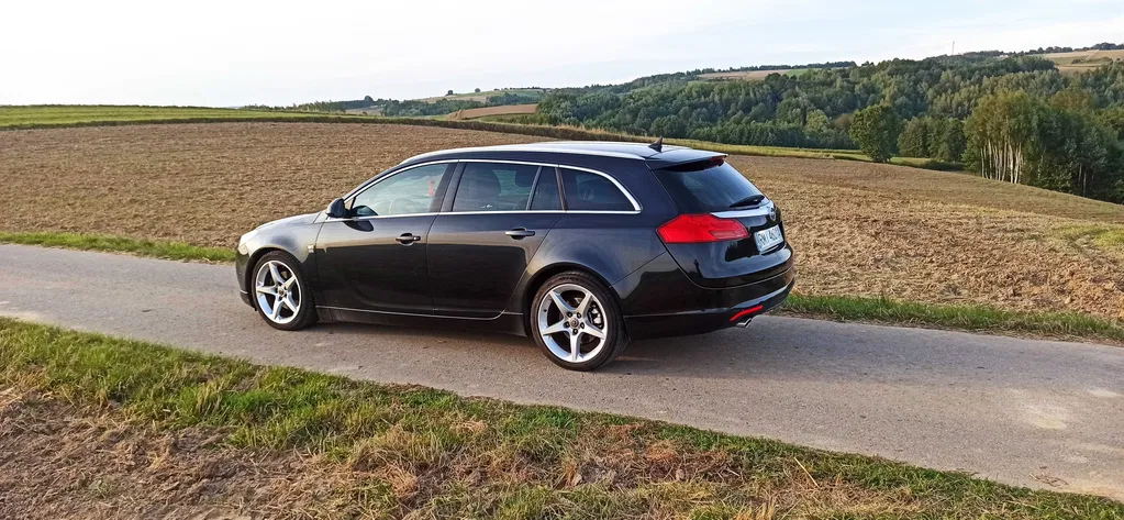 Zdjęcie: 2010 Opel Insignia