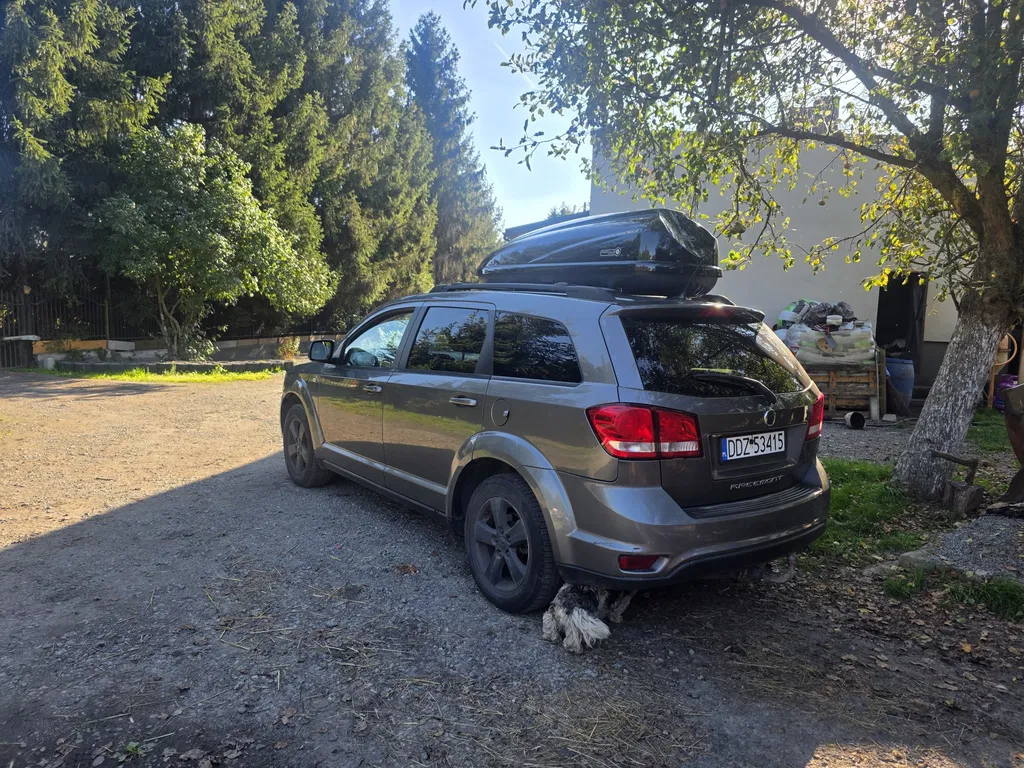 Zdjęcie: 2011 Fiat Freemont