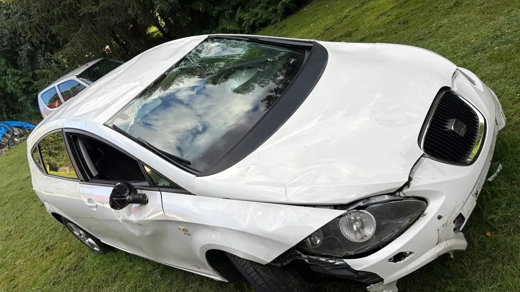 Zdjęcie: 2011 Seat Leon