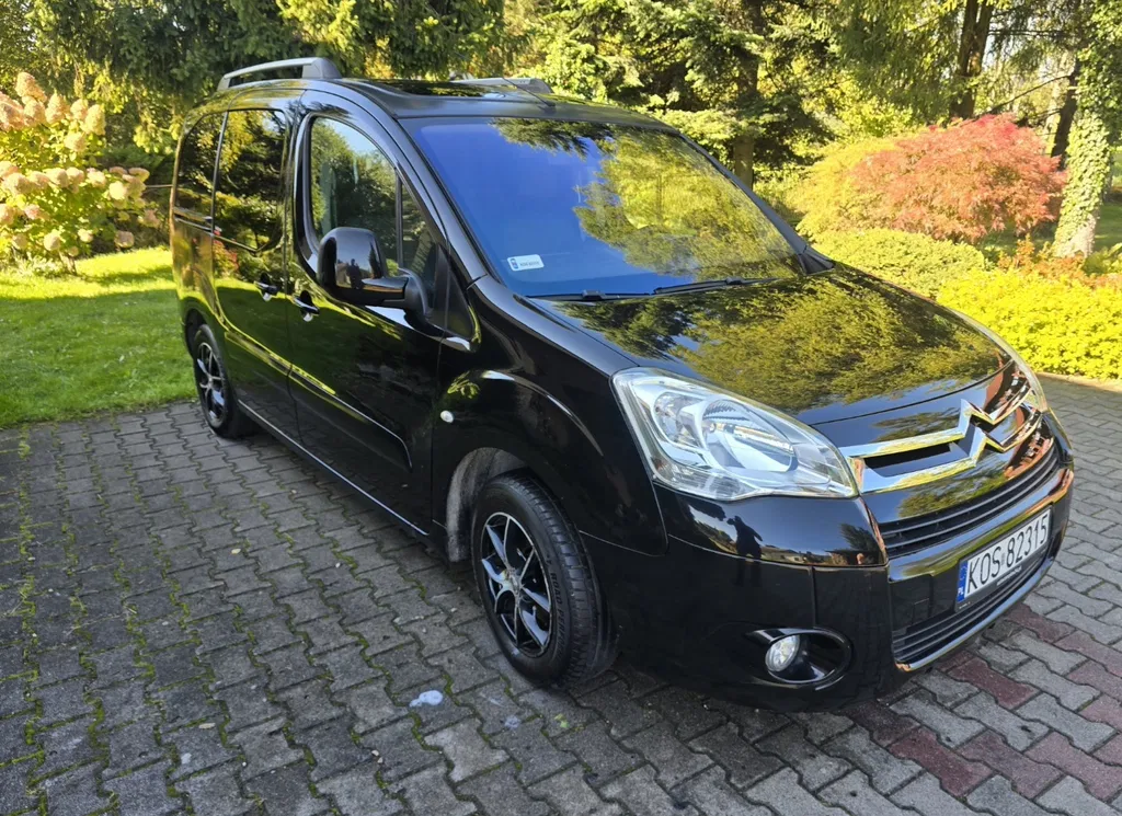 Zdjęcie: 2008 Citroen Berlingo