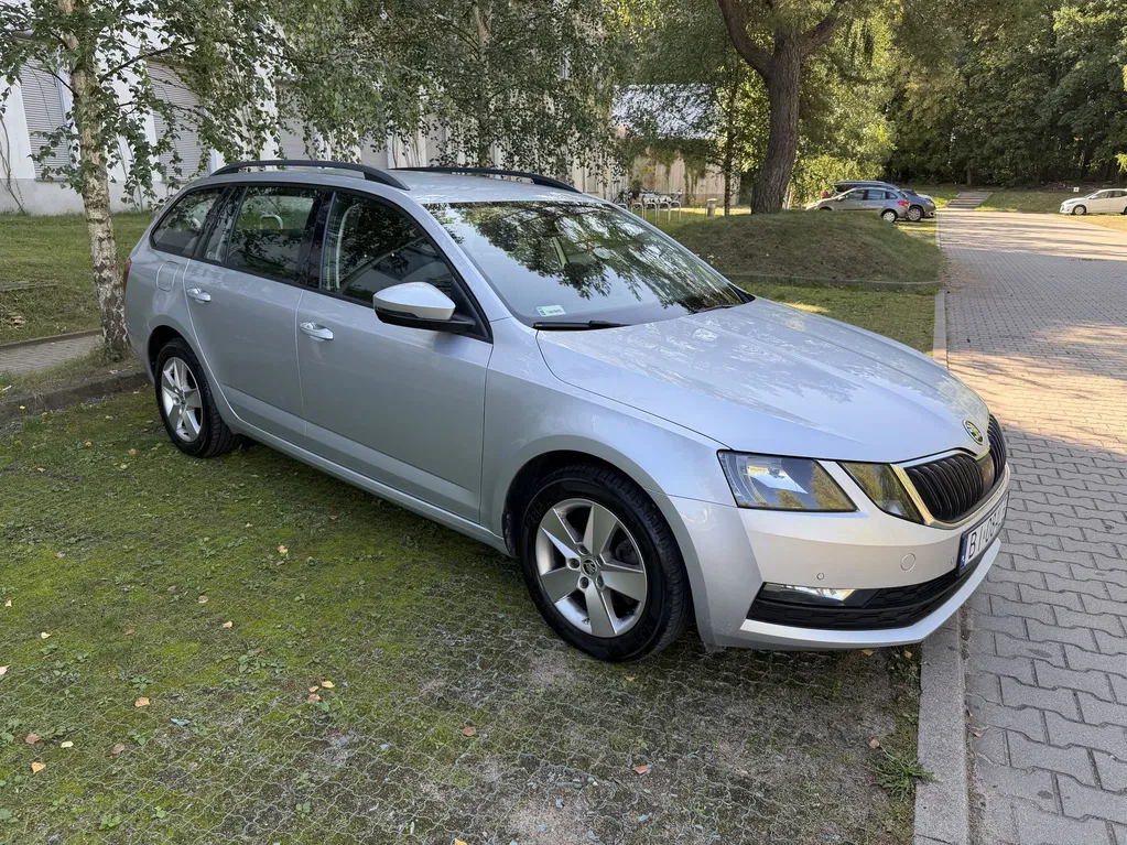 Zdjęcie: 2019 Skoda Octavia