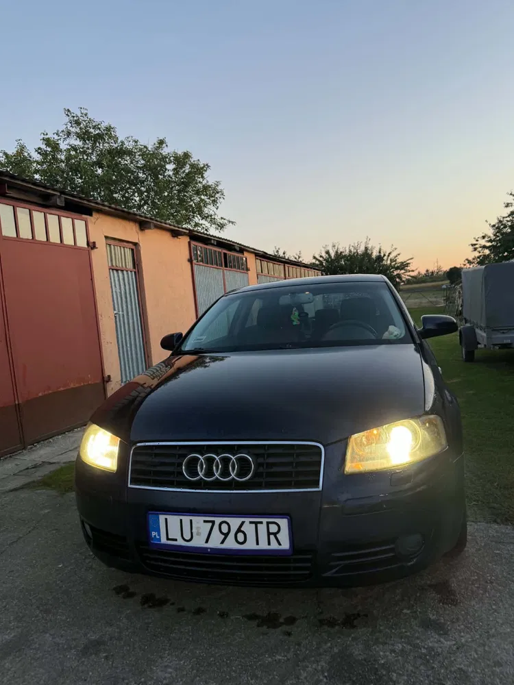 Zdjęcie: 2003 Audi A3 3-drzwiowe