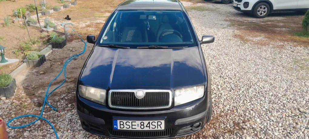 Zdjęcie: 2007 Skoda Fabia