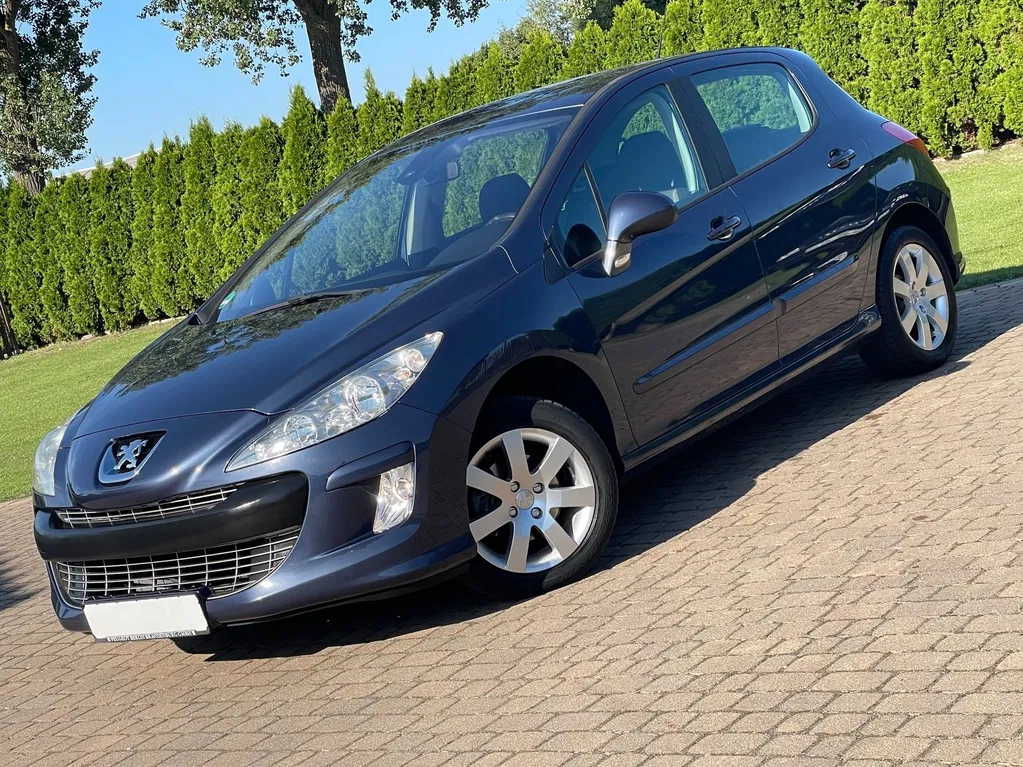 Zdjęcie: 2009 Peugeot 308