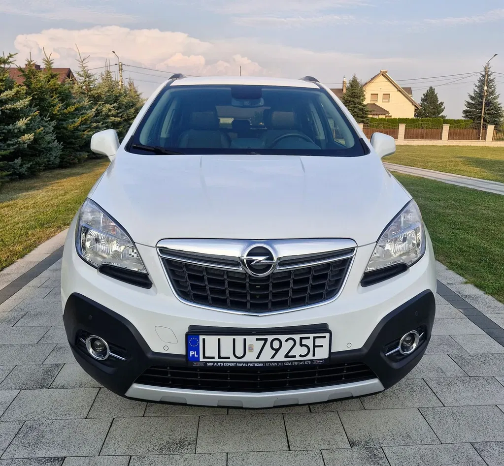 Zdjęcie: 2014 Opel Mokka