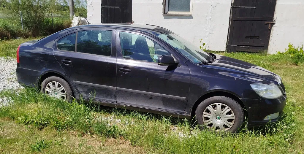 Zdjęcie: 2012 Skoda Octavia