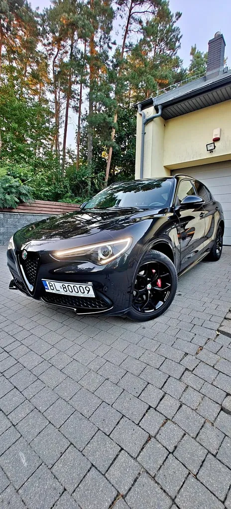 Zdjęcie: 2020 Alfa Romeo Stelvio